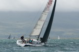 satisfaction gbr8272 whyw23 sun 800 3260